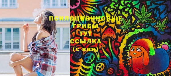 гидропоника Балабаново