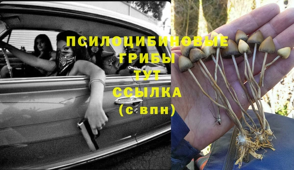 гидропоника Баксан