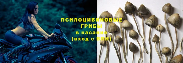 гидропоника Балабаново
