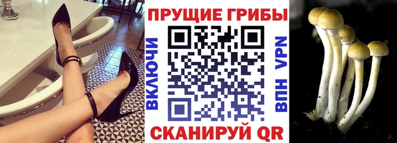 Псилоцибиновые грибы Magic Shrooms  Звенигород 